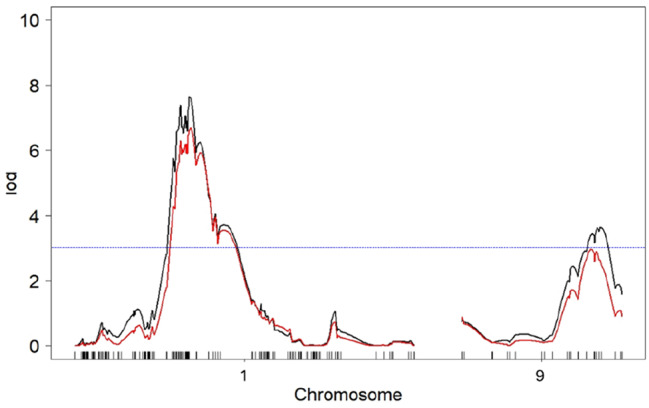 Genomic Regions and Molecular Markers Associated with Deeper Rooting to Improve Grain Yield in Aerobic Rice (Oryza sativa L.) Production Systems.