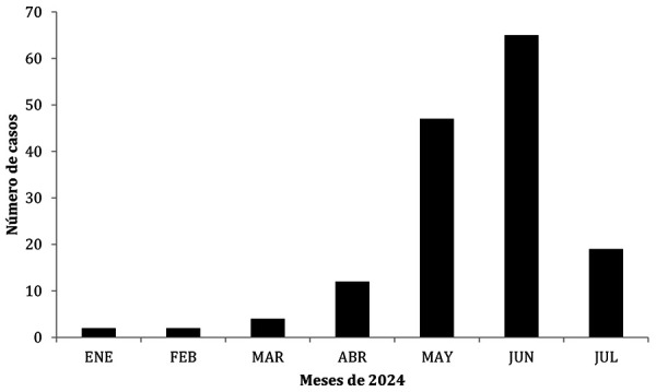 [Epidemiological, clinical, and diagnostic analysis of an outbreak of Parvovirus B19 infection in Mallorca Island].