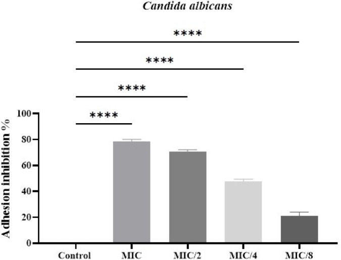 Impact of oleuropein on <i>Candida albicans</i> and <i>Staphylococcus aureus</i> adhesion and its mediated toxicity in Zebrafish (<i>Danio rerio</i>) embryos.