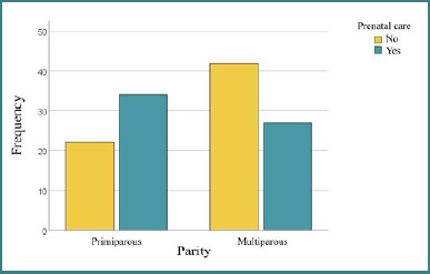 The impact of inadequate prenatal care on maternal anemia and pregnancy outcomes in Romania.
