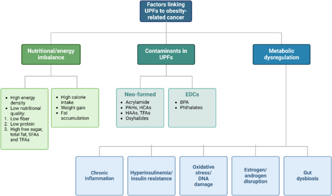 Beneath the Surface: The Emerging Role of Ultra-Processed Foods in Obesity-Related Cancer.