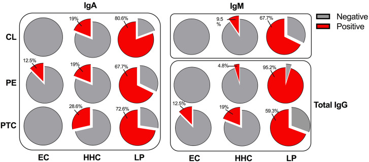 Serum anti-lipid antibodies in patients affected by leprosy in a high-burden municipality in Brazil: a cross-sectional study.