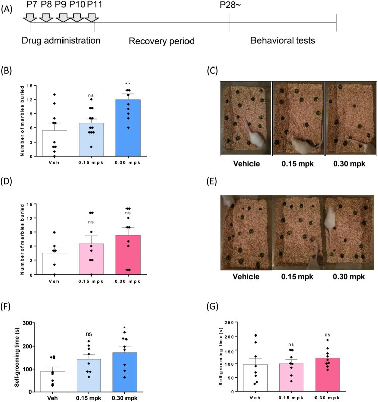 Early postnatal exposure to bicuculline modulates E/I balance and induces ASD-like behavioral phenotypes in mice.