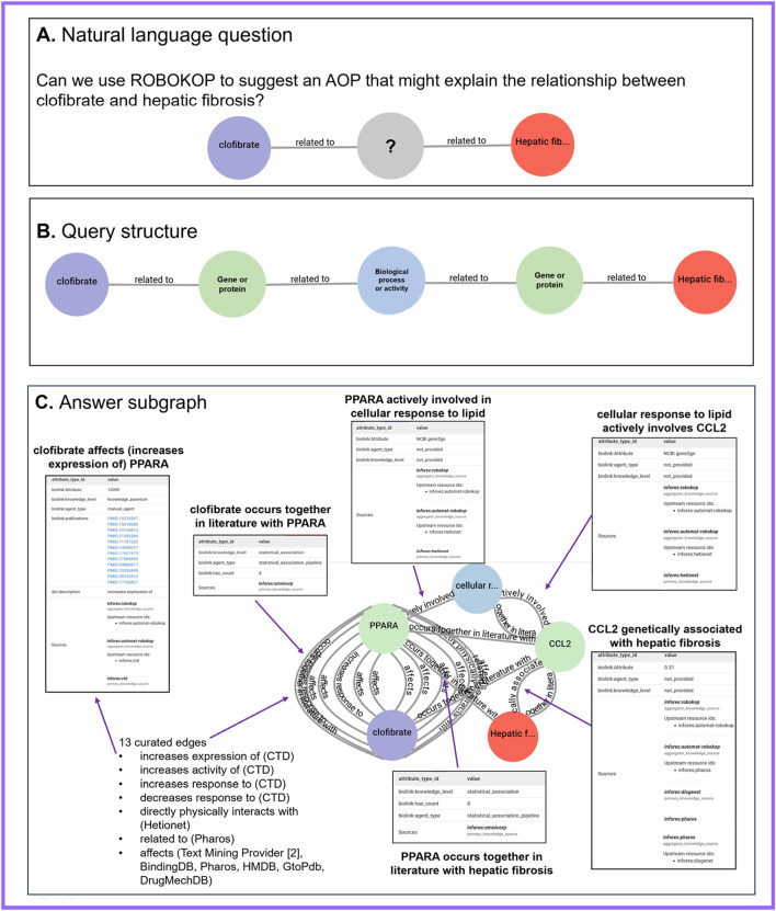 Elucidating the mechanistic relationships between peroxisome proliferator-activated receptors and hepatic fibrosis using the ROBOKOP knowledge graph.