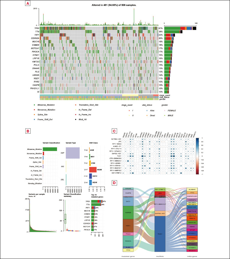 Identification of IGF2BP2 and long non-coding RNA TUG1 for the prognosis and tumour microenvironment in head and neck squamous cell carcinoma.