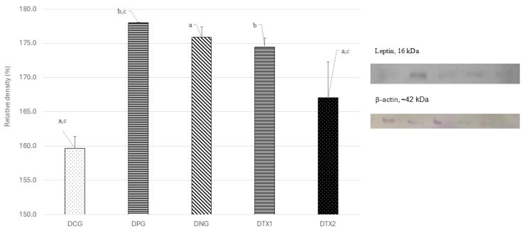 Impact of <i>Elateriospermum tapos</i> Supplementation on Leptin and Hypothalamic Signaling in Female Offspring of High-Fat Diet-Induced Obese.