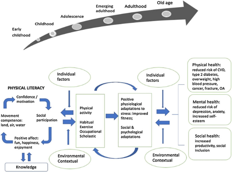 Physical Literacy, Physical Activity, and Health: A Citation Content Analysis and Narrative Review.
