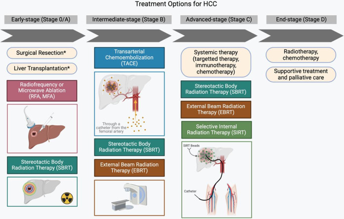 Hepatocellular Carcinoma and the Role of Liver Transplantation: An Update and Review.