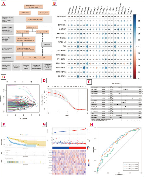 Identification of IGF2BP2 and long non-coding RNA TUG1 for the prognosis and tumour microenvironment in head and neck squamous cell carcinoma.