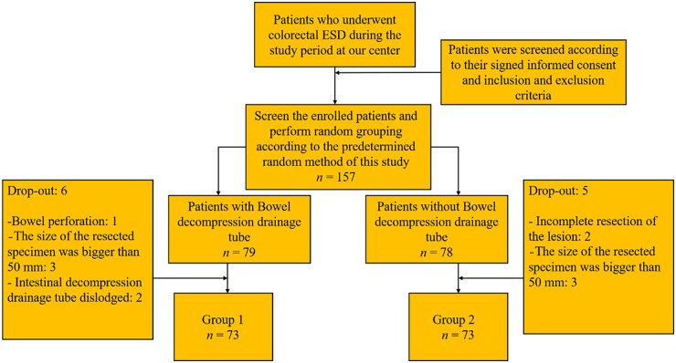 Intestinal decompression and drainage in preventing post-endoscopic submucosal dissection electrocoagulation syndrome in colorectal ESD: a prospective study.