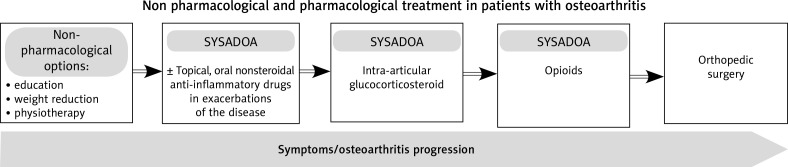 Clinical expert statement on osteoarthritis: diagnosis and therapeutic choices.