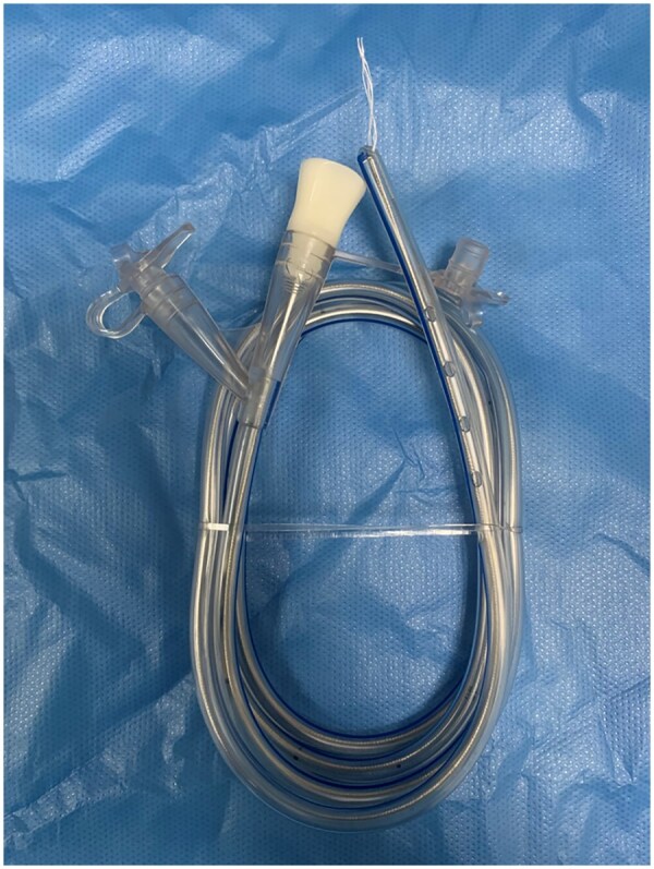 Intestinal decompression and drainage in preventing post-endoscopic submucosal dissection electrocoagulation syndrome in colorectal ESD: a prospective study.