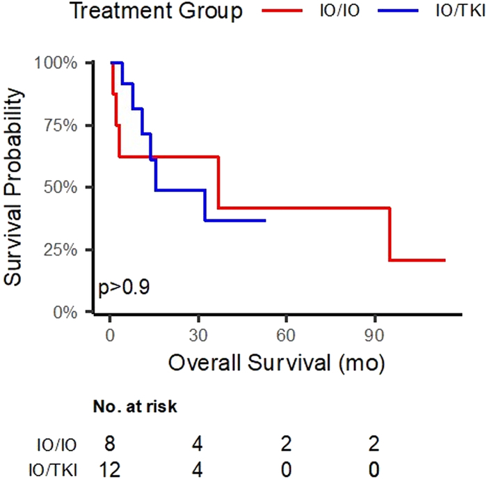 Multi-institutional Analysis of Immune-Oncology Combination Therapy for Metastatic MiT Family Translocation Renal Cell Carcinoma.