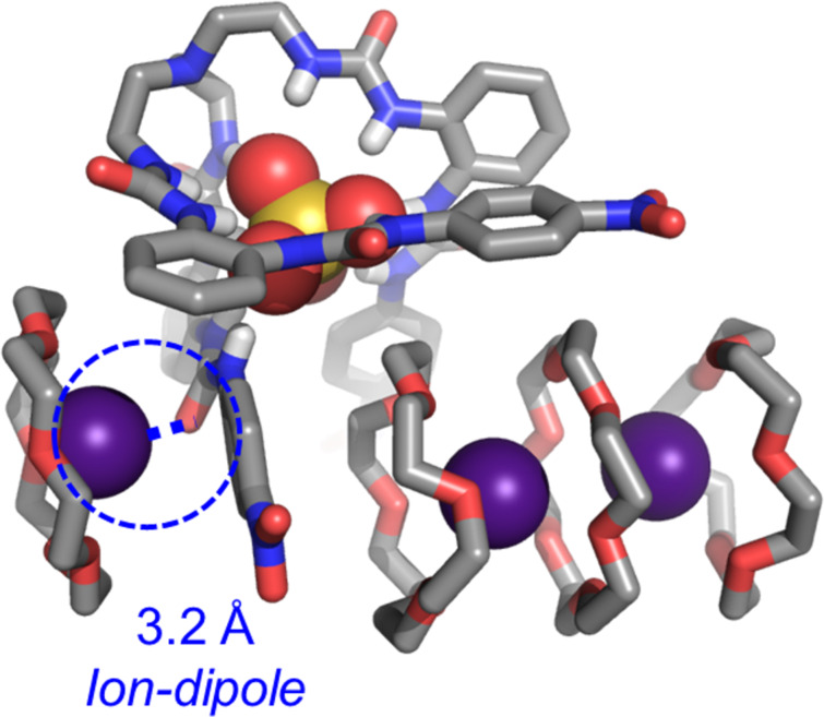 Unraveling cooperative interactions between complexed ions in dual-host strategy for cesium salt separation.