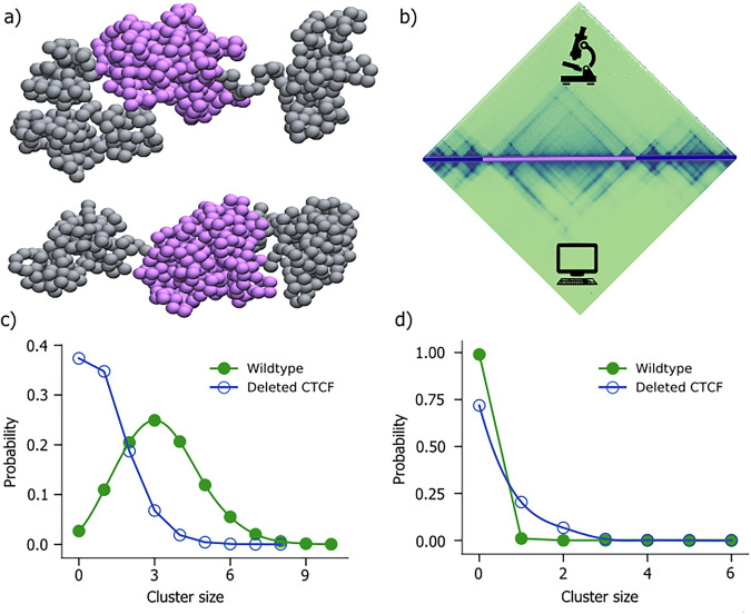 Predicting gene expression changes from chromatin structure modification.