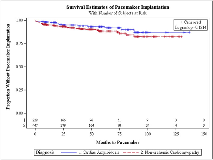 Long-Term Clinical Outcomes in Patients With Transthyretin Cardiac Amyloidosis Versus Non-Ischemic Cardiomyopathy.