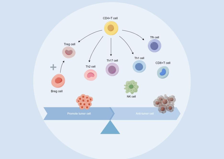 Current Status of Breast Cancer Immunotherapy and Prognosis-Related Markers.