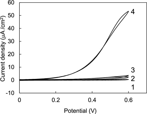 Creation of a highly stable direct electron transfer-type enzyme sensor by combining a hyperthermophilic dehydrogenase and natural electron mediator.