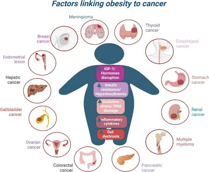 Beneath the Surface: The Emerging Role of Ultra-Processed Foods in Obesity-Related Cancer.