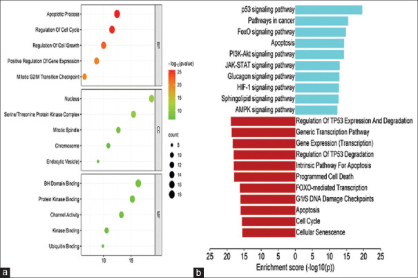 Deoxyelephantopin induces cell death in oral cancer cells via the downregulation of AKT1-mTOR-mediated mechanisms.