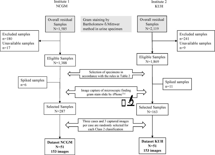 Accuracy of classification of urinary Gram-stain findings by a computer-aided diagnosis app compared with microbiology specialists.