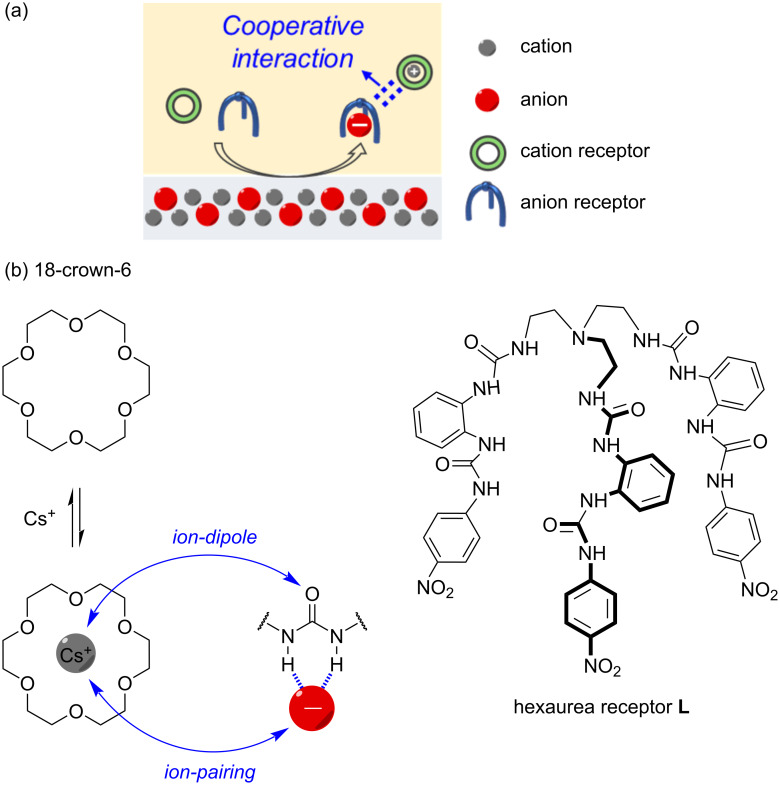 Unraveling cooperative interactions between complexed ions in dual-host strategy for cesium salt separation.