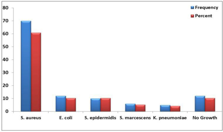 Resistance profiles of <i>Staphylococcus aureus</i> isolates against frequently used antibiotics at private sector laboratories in Jordan.