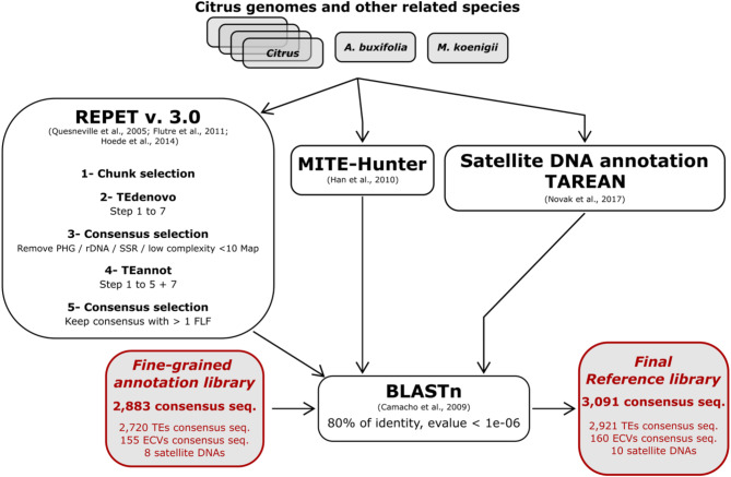 Construction of a comprehensive library of repeated sequences for the annotation of Citrus genomes.