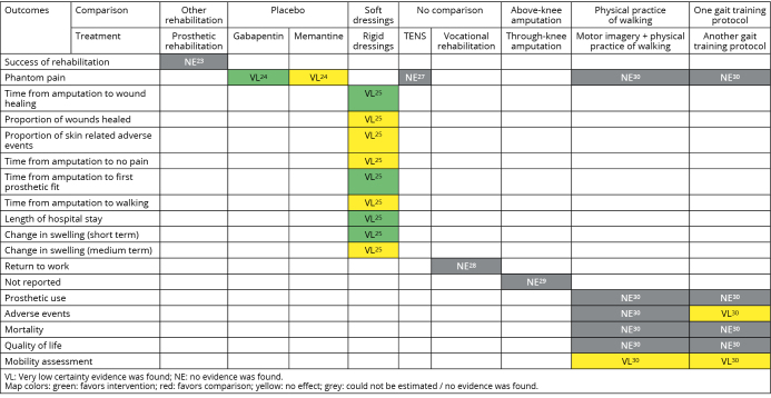 Overview of Cochrane Systematic Reviews for rehabilitation interventions in persons with amputation: a mapping synthesis.