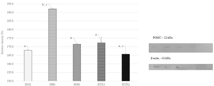Impact of <i>Elateriospermum tapos</i> Supplementation on Leptin and Hypothalamic Signaling in Female Offspring of High-Fat Diet-Induced Obese.