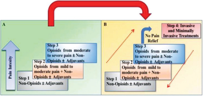 Understanding Cancer Pain Syndromes.
