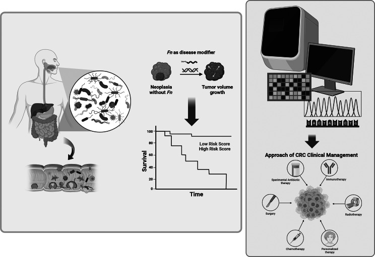 Association of <i>Fusobacterium nucleatum</i> with colorectal cancer molecular subtypes and its outcome: a systematic review.