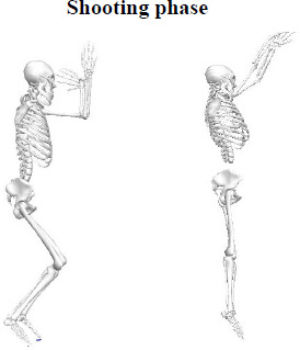 Arm Joint Coordination of Collegiate Basketball Athletes and Recreational Players when Shooting behind the 3-Point Line.
