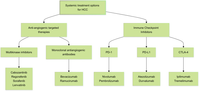 Hepatocellular Carcinoma and the Role of Liver Transplantation: An Update and Review.