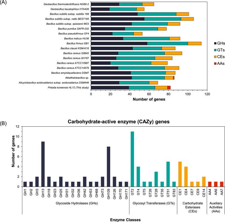 Boosting secretion of starch-converting enzymes from Priestia koreensis HL12 and its application in non-thermal cassava pulp saccharification process for maltooligosaccharides synthesis.