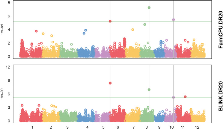 Genomic Regions and Molecular Markers Associated with Deeper Rooting to Improve Grain Yield in Aerobic Rice (Oryza sativa L.) Production Systems.