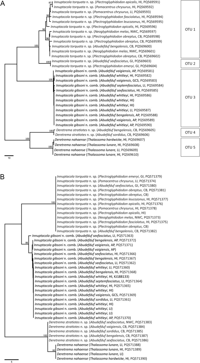 Zoogonids (trematoda) infecting Indo-West Pacific damselfishes (Pomacentridae), including the proposal of a new genus and two new species.