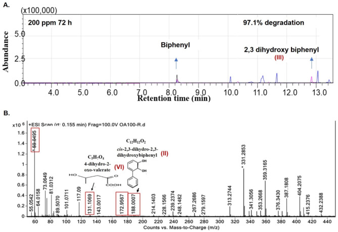 Metabolomic profiling of biphenyl-induced stress response of Brucella anthropi MAPB-9.