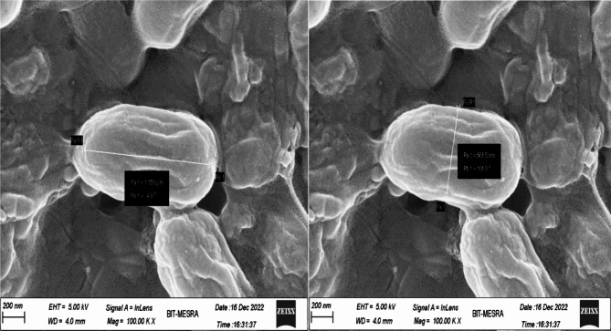 Improved production of thermostable pectinase from novel Bacillus siamensis (BIOSMNF45) using computational-conventional approach.