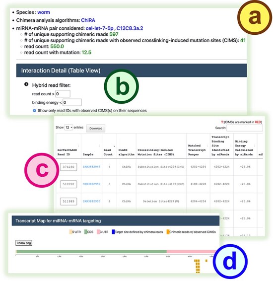 mirTarCLASH: a comprehensive miRNA target database based on chimeric read-based experiments.