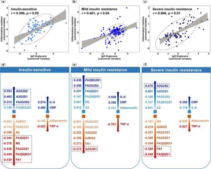 IgG N-glycosylation contributes to different severities of insulin resistance: implications for 3P medical approaches.