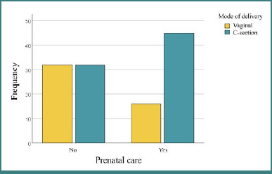 The impact of inadequate prenatal care on maternal anemia and pregnancy outcomes in Romania.