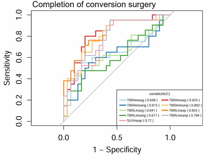 Preoperative assessment and prognostic prediction of gastric cancer patients with peritoneal metastasis using <sup>18</sup>F-FDG PET/CT before conversion surgery.