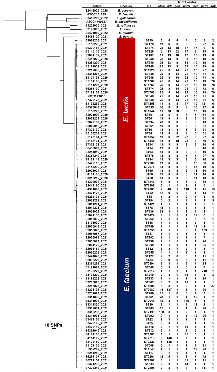 Accurate identification of <i>Enterococcus lactis</i> causing bacteraemia by matrix-assisted laser desorption ionization-time of flight mass spectrometry.