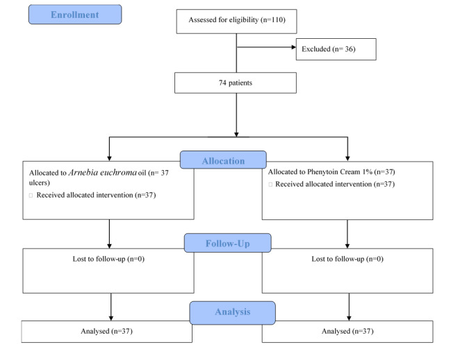 Comparison of the Efficacy of Topical <i>Arnebia euchroma</i> Product with Topical Phenytoin on Pressure Ulcer in Patients with Spinal Cord Injury: A Triple-Blind, Randomized Clinical Trial.