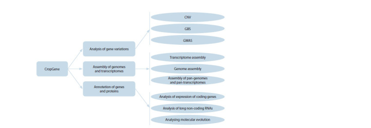 CropGene: a software package for the analysis of genomic and transcriptomic data of agricultural plants.