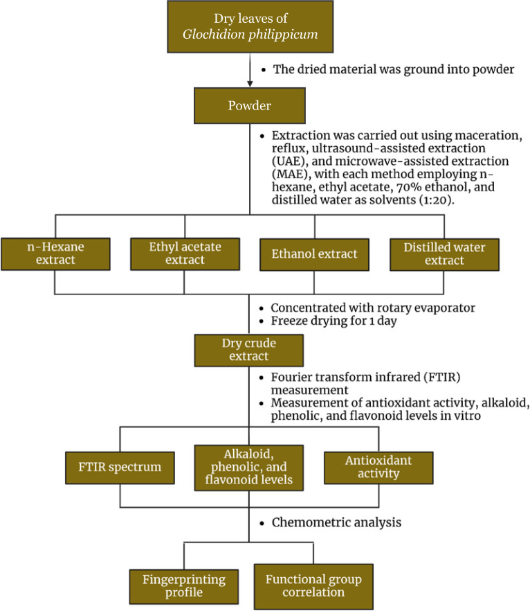 Chemical fingerprinting and antioxidant properties of <i>Glochidion philippicum</i>.