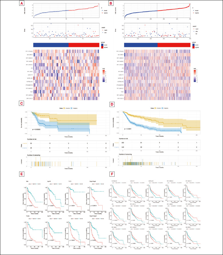 Identification of IGF2BP2 and long non-coding RNA TUG1 for the prognosis and tumour microenvironment in head and neck squamous cell carcinoma.