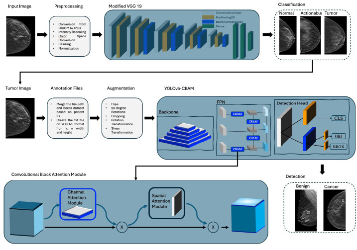 Breast cancer detection and classification with digital breast tomosynthesis: a two-stage deep learning approach.