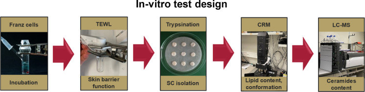 Ceramide Profiling of Porcine Skin and Systematic Investigation of the Impact of Sorbitan Esters (SEs) on the Barrier Function of the Skin.
